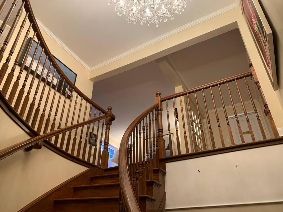 Monroe House Executive Guest Suites セントジョンズ エクステリア 写真